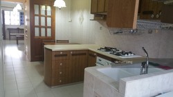 Blk 137 Petir Road (Bukit Panjang), HDB 3 Rooms #202504582